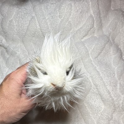 Hansa Guinea Pig Plush Stuffed Animal Mini Under 6 in Gray & White 2014 MPN 1128