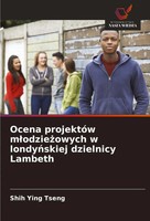 Shih Ying Tseng | Ocena ProjektóW M¿Odzie¿Owych W Londy¿Skiej Dzielnicy Lambeth