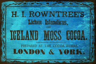 Rowntree's Cocoa Aged Look Werbung Vintage Style Blechschild, Hot Chocolate, Cafe
