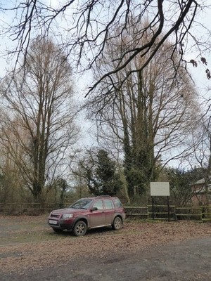 Foto 6x4 Bäume in Earl's Croome Baughton Baumchirurgen arbeiten hier c2017