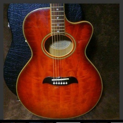 Electronic Acoustic Guitar Aria FET-600 Elecord with Hard Case | eBay