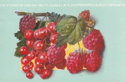 Vintage Postcard Chivers Jam Ad, Raspberries & Red Currants, Histon Cambridge