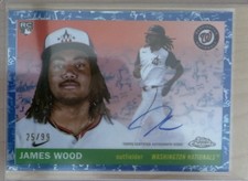 2009 Topps Platinum Football Product Review 19