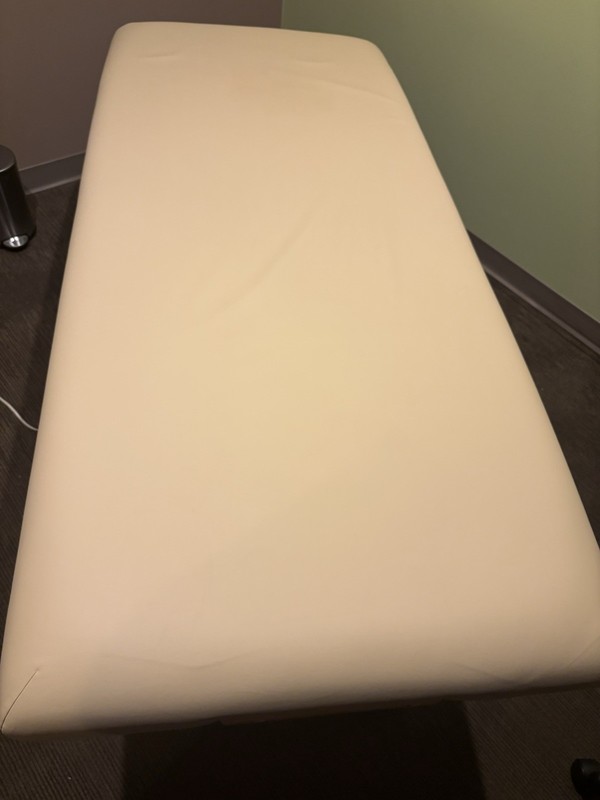 Earthlite Electronicly Adjustable Massage Bed