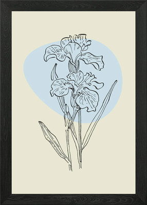 Iris Blume gerahmtes Wandbild Poster Leinwanddruck Bild