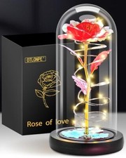  Rose Flower Gifts for Women,Mothers Day Flowers Gifts for Mom Wife from Red