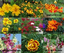 GRAINES DE FLEURS BIO (ŒILLET DE POÈTE, POIS DE SENTEUR, ROSE) PARMI 23 VARIÉTÉS