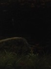Bild 8 von 10