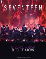 Seventeen: Right Here, Right Now Carolyn Mchugh Buch Englisch 2025