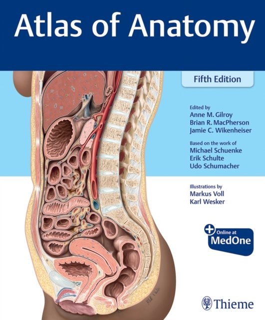 Atlas of Anatomy Gilroy Macpherson Wikenheiser Schuenke Schulte Hardback