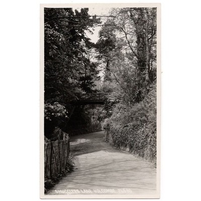 HOLCOMBE Devon, Schmugglers Lane RP Postkarte, unbenutzt