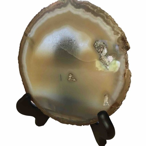 Natural Petrified Wood Polished Rock Slab Slice Agate Bark Crystal Beige 6”x6” - Picture 4 of 9