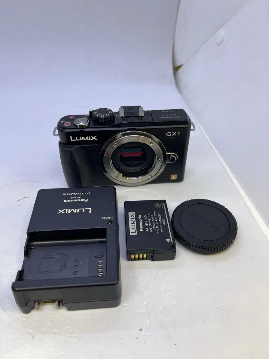 Panasonic Lumix DMC-GX1 Digital Cameras for Sale - Shop New & Used