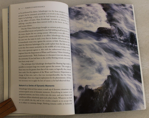 The Healing Power Of Energized Water - Ulrich Holst - 2010 Paperback Edition - Picture 7 of 8