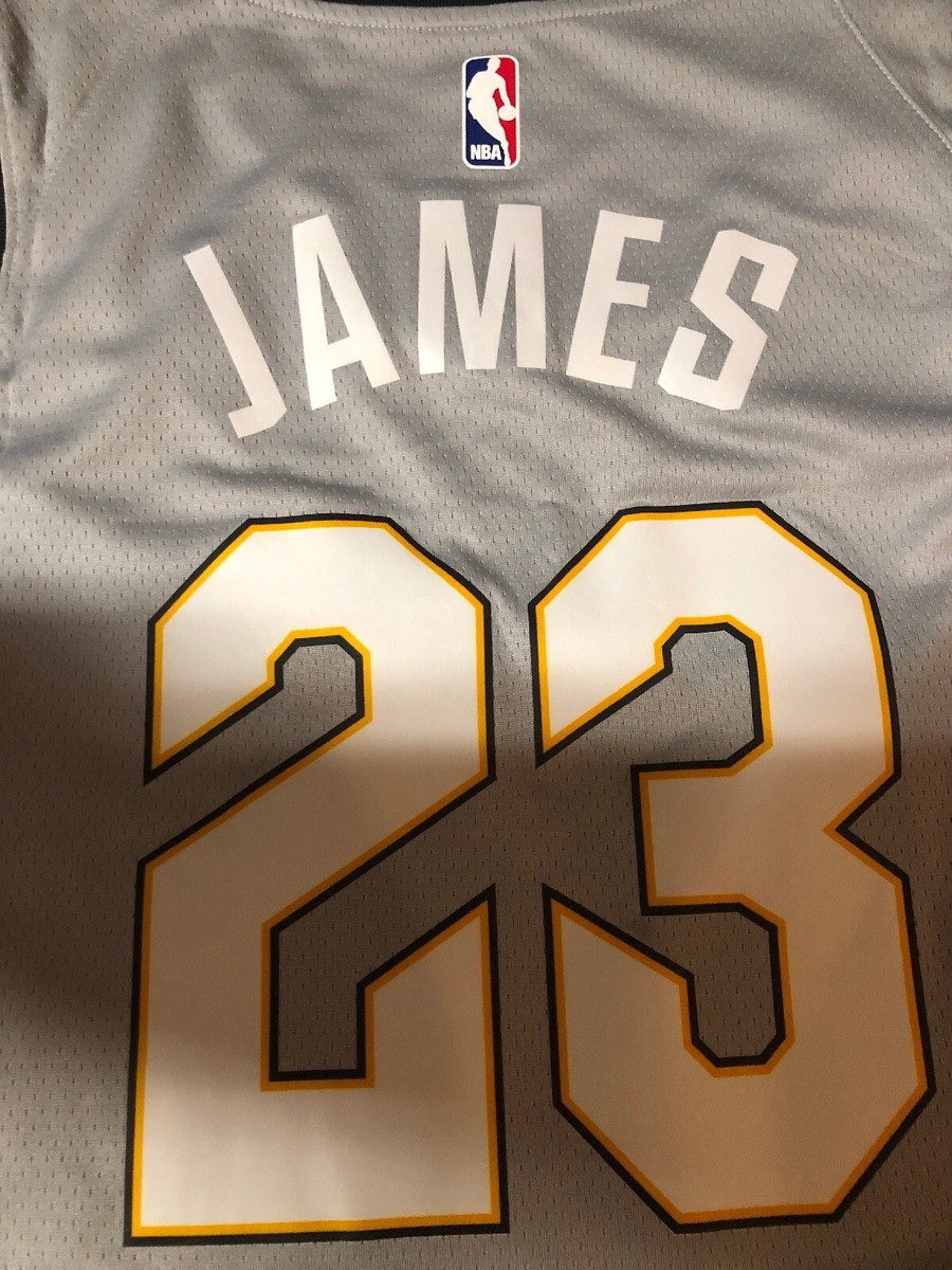 LeBron James Nike Jersey Mens Size XL The Land Swingman