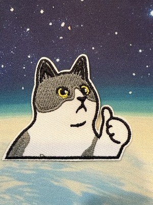 Embroidered Cat Thumbs Up Patch Gray/White Animals & Insects Single
