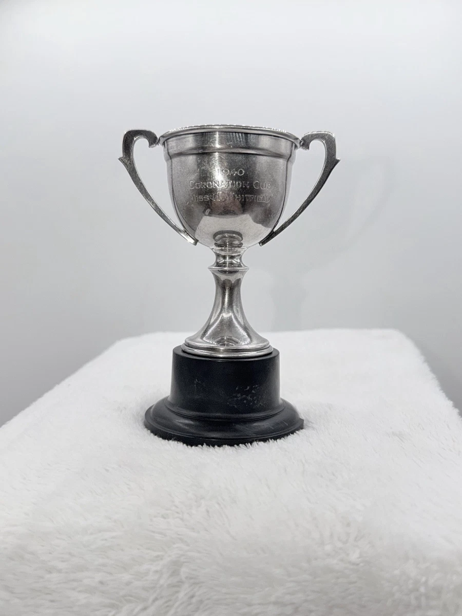银奖杯| eBay