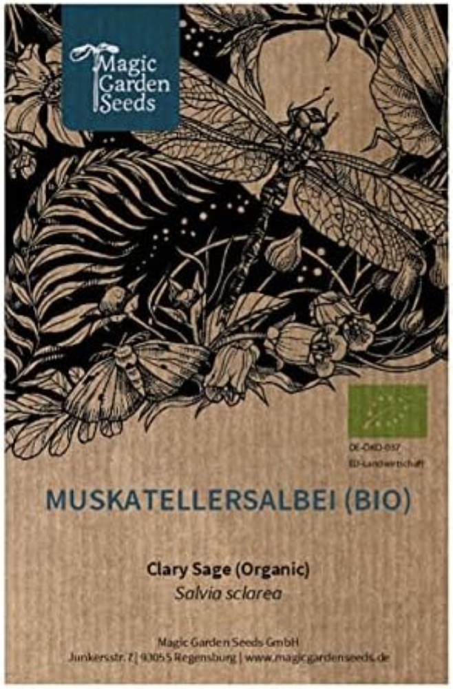 Erba moscatella (Salvia sclarea) biologica - circa 50 semi