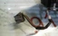 Imagen 4 de 6