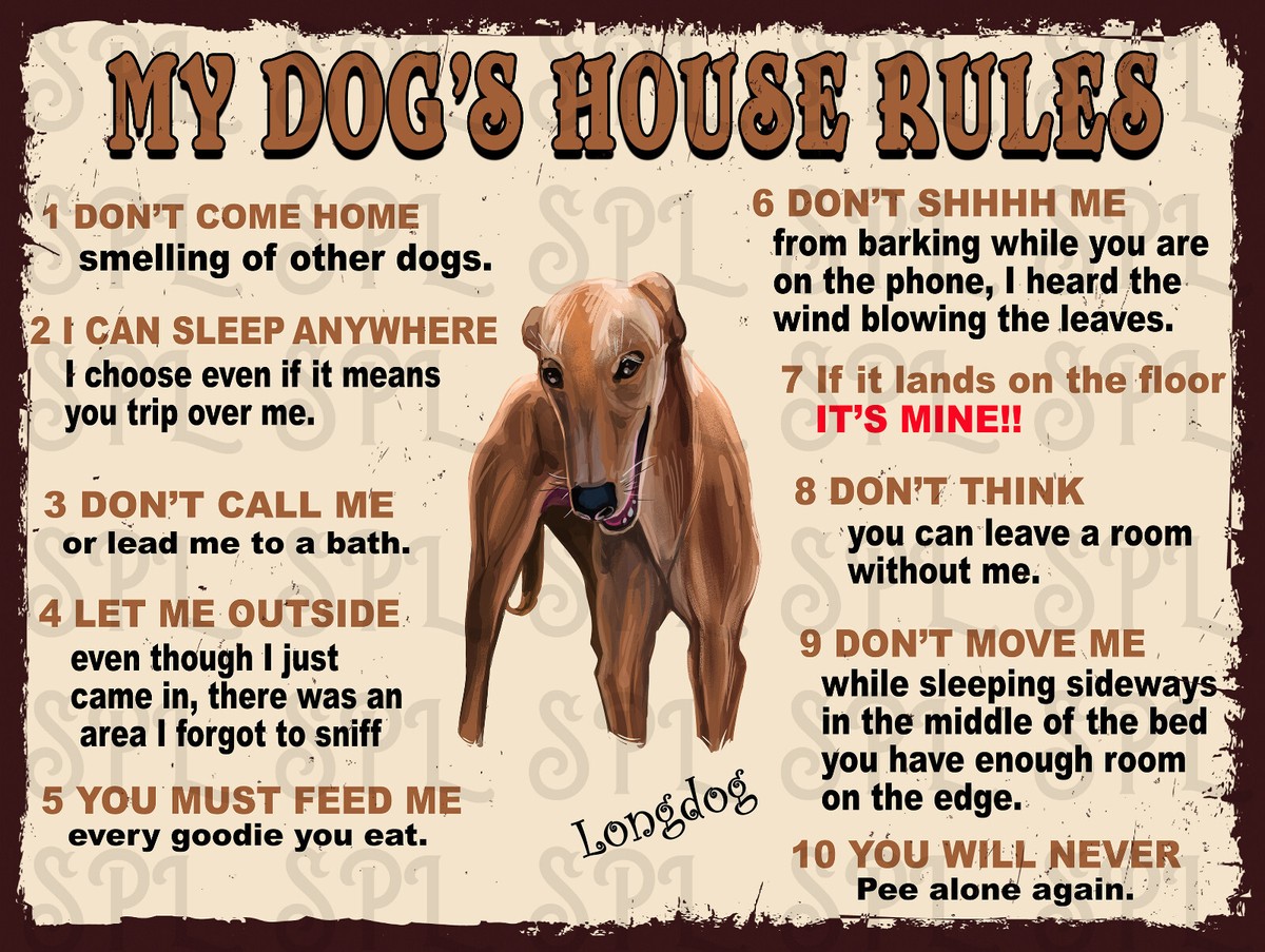 In Bed Why Does My Dog Sleep On Me At Night Why Does My Dog Sleep