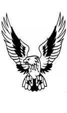 MEDIUM 10” car bonnet side sticker eagle hawk camper van vinyl decal wall art