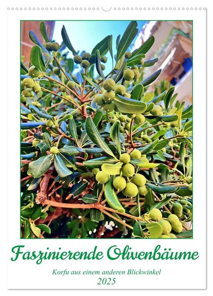 George Vasey | Grasses Of The Southwest | Taschenbuch | Englisch (2018) | Vol. 1-image
