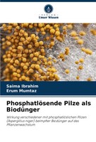 Saima Ibrahim (U. A.) | PhosphatlöSende Pilze Als BiodüNger | Taschenbuch (2024)