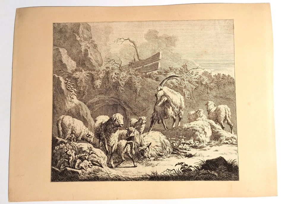 Antiker Kupferstich Ridinger "Gehörnter Ziegenbock..." ca. 1724