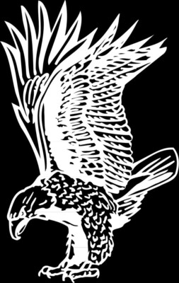 Eagle #8 Mascot 1 Color Window Wall Vinyl Decal Sticker Printed Graphic