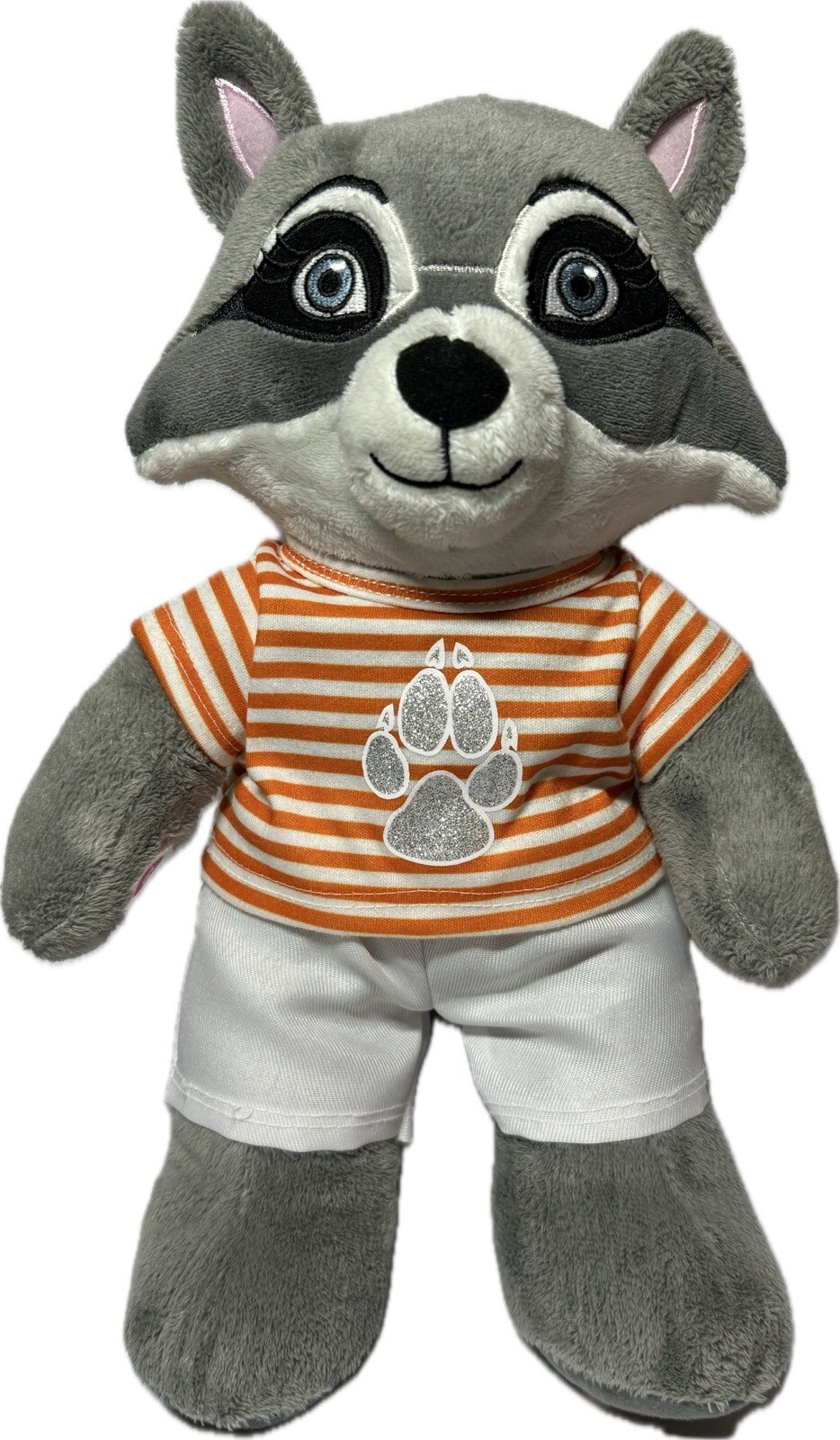 Great Wolf Lodge Rachel Raccoon 12