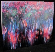 Pacific Light 1989 1st Ed. HC Book