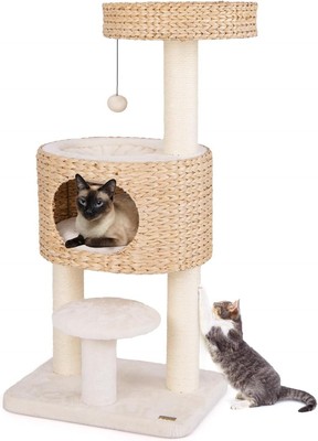 41 inch Modern Cat Tree for Indoor Cats, Multi-Level Small Cat Tree with Sisal