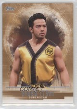 2017 Topps WWE Undisputed NXT Bronze 63/99 Hideo Itami #47 g3c