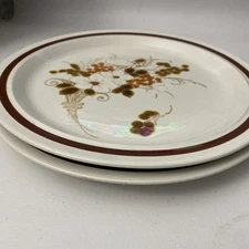 2 Vintage Four Seasons Collections Autumn Bouquet  Dinner Plates 10.5” Japan V78