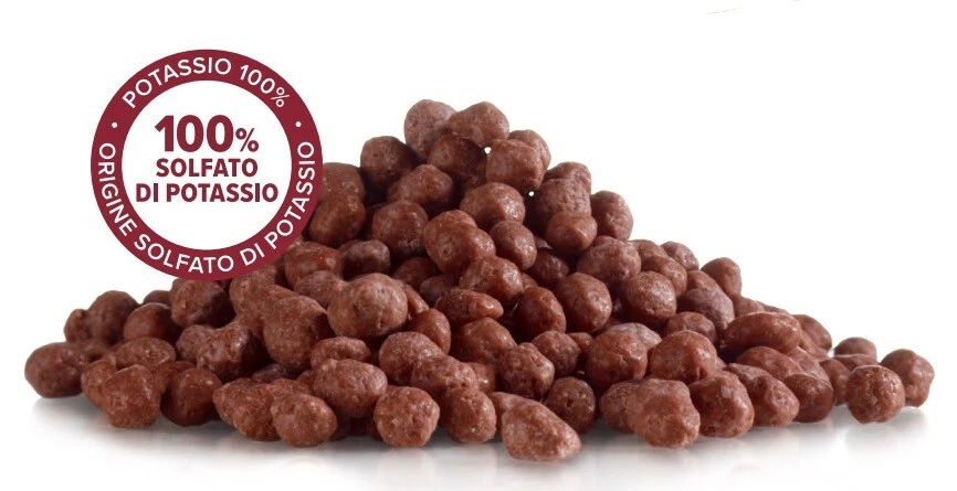 Nitrophoska Super Concime NPK 20-5-10 Kg25 per Prato Agrumi Orto Frutti Olivo - Immagine 2 di 3