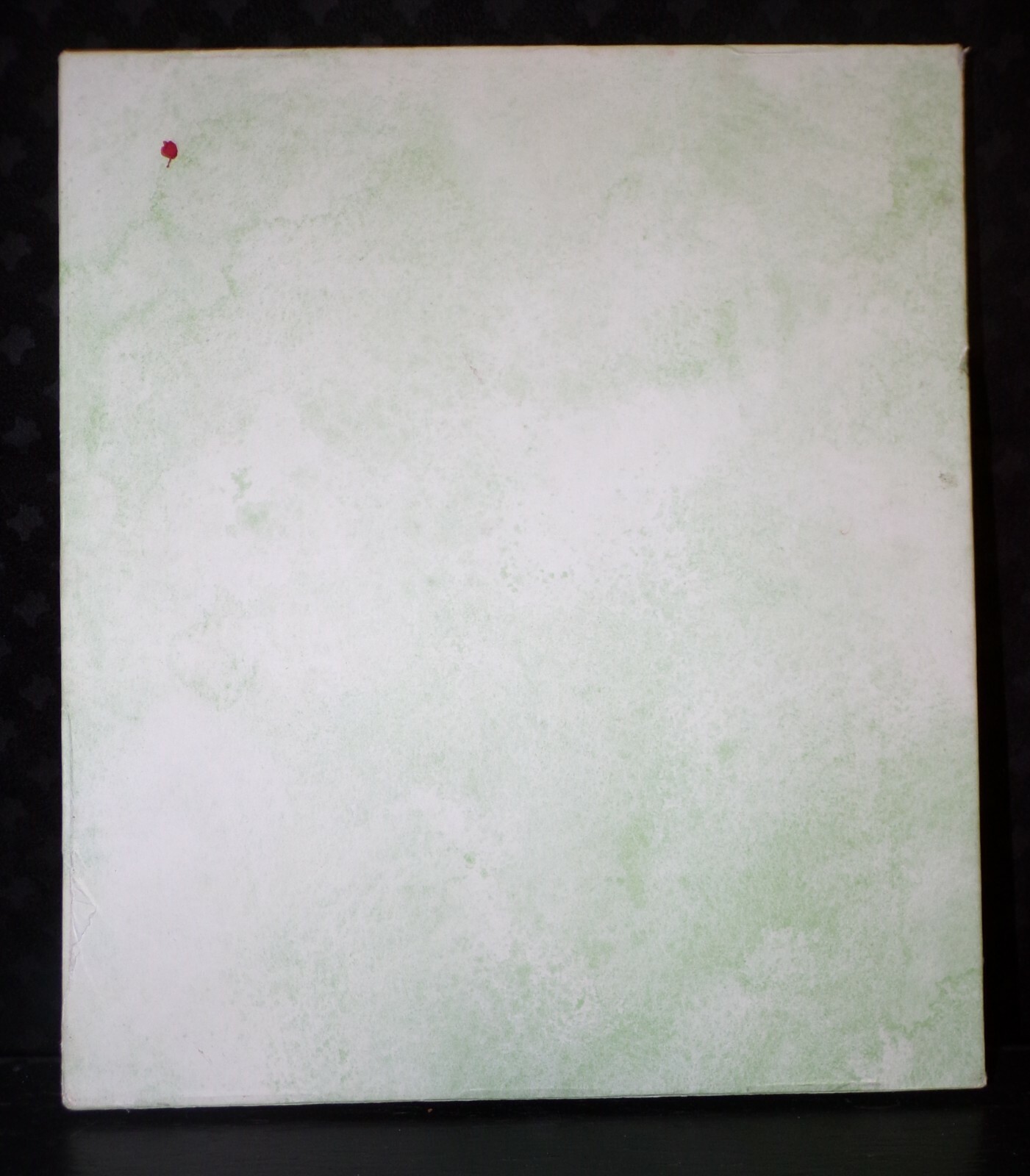 Bild 5 von 12