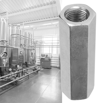 Stainless Steel BSPP Female Thread Air Check Valve For Water Pipe Connection SNQ