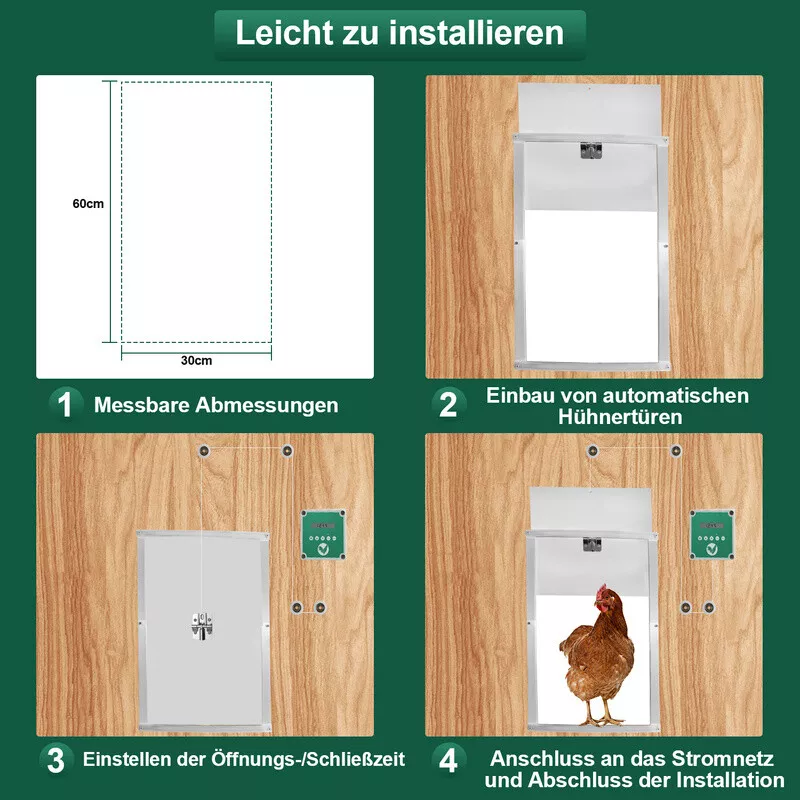 Bild 9 von 11