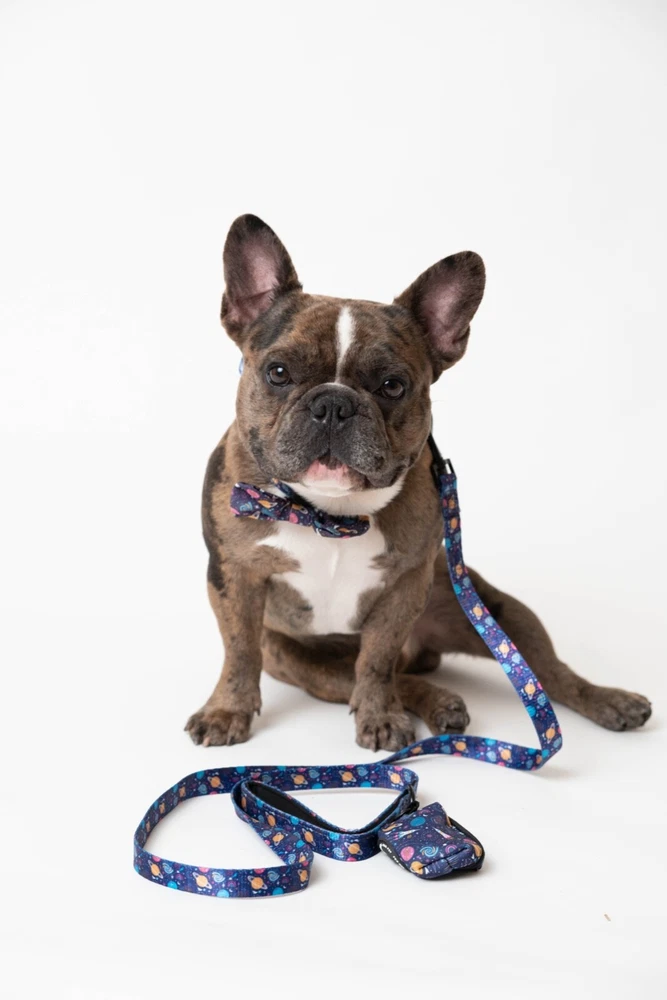 Dog Harness No-Pull with Leash set