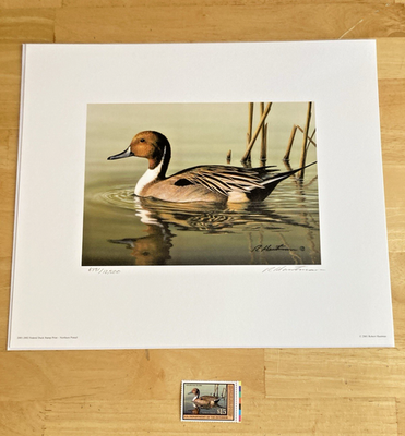 #ad 2001 Federal Duck Stamp Print Northern Pintail Robert Hautman Stamp $99.99