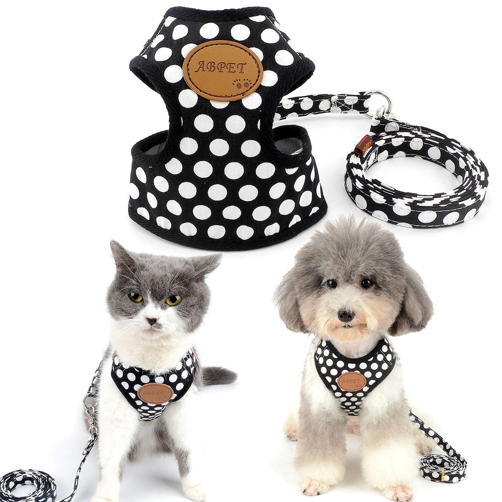 Harnais chat et petit chien en maille souple respirante avec laisse en nylon réglable noire