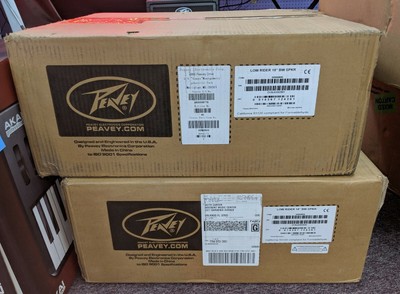peavey folded horn subwoofer