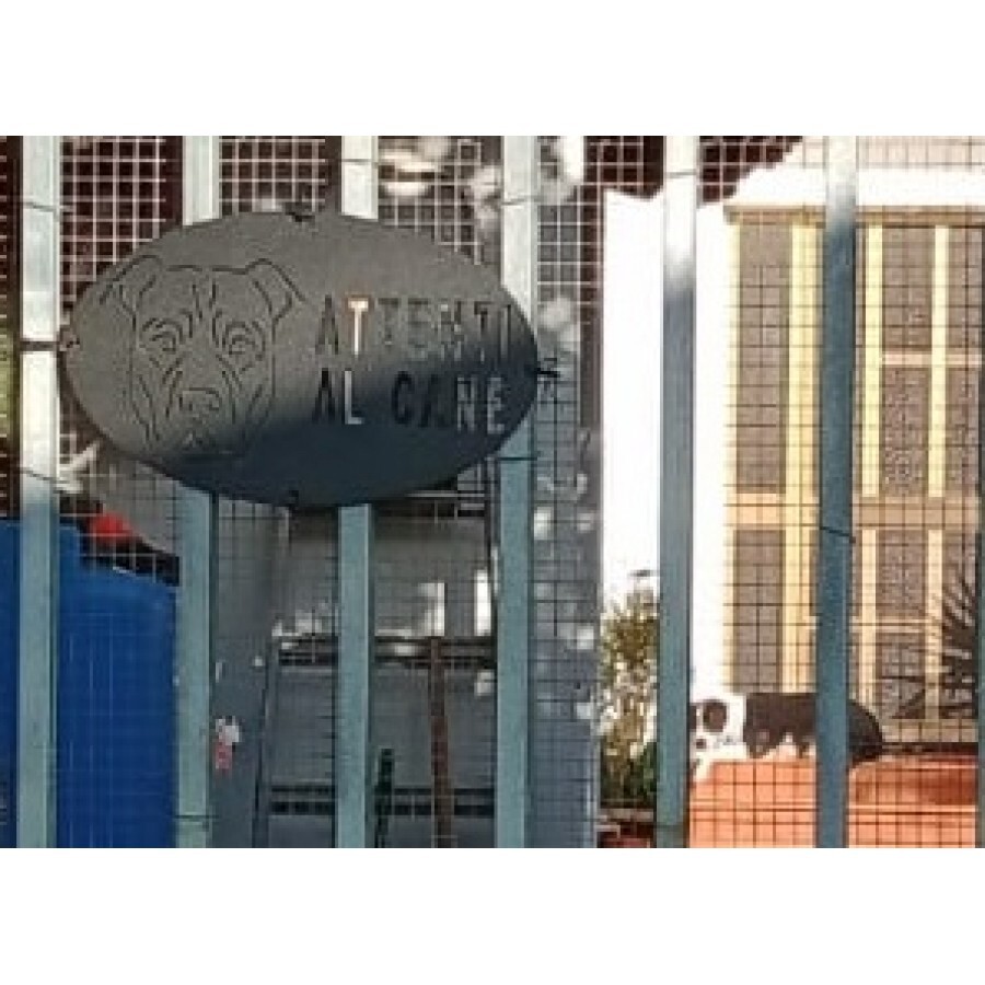 Foto 7 di 7