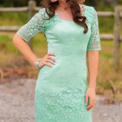 NWT Antonio Melani Dress Mint Green Floral Lace Embroidery Size 10 | eBay