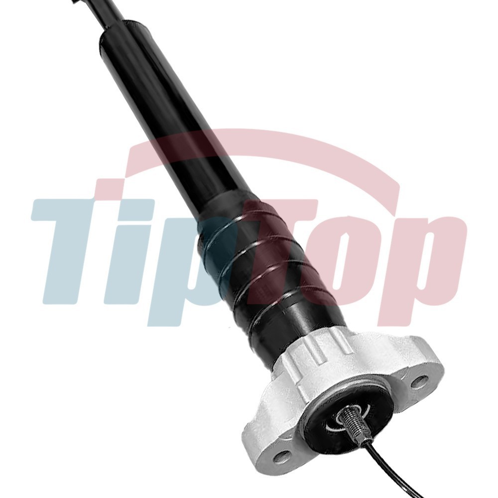 Rear Left+Right Air Shock Strut Assys For Maserati Levante M161 2017-20 3.0L