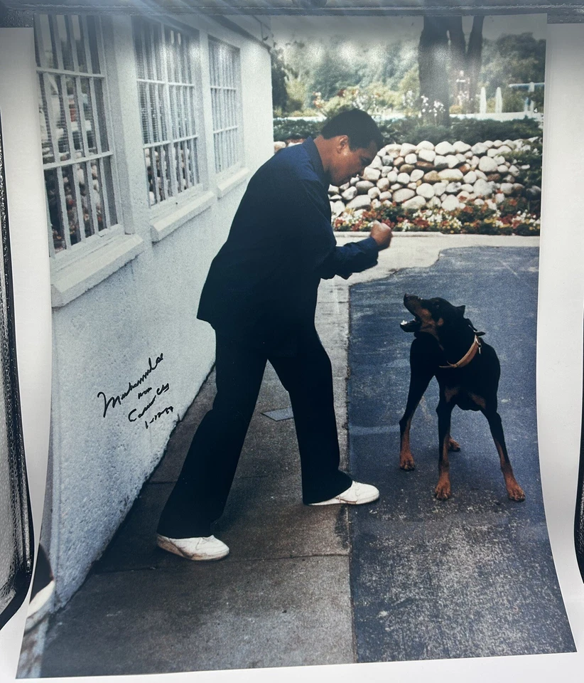 Muhammad Ali Signed 16x20 Photo “Aka Cassius Clay” Insc. Autographed JSA LOA - Image 2 of 4