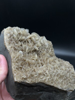 Large Phantom Barite Crystals: Palos Verdes cliffs, Los Angeles County, CA
