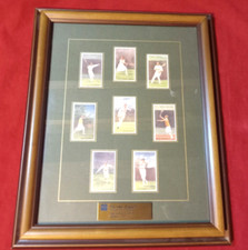 Framed Gallaher's Cigarettes Lawn Tennis Tobacco Cards Wall Decor