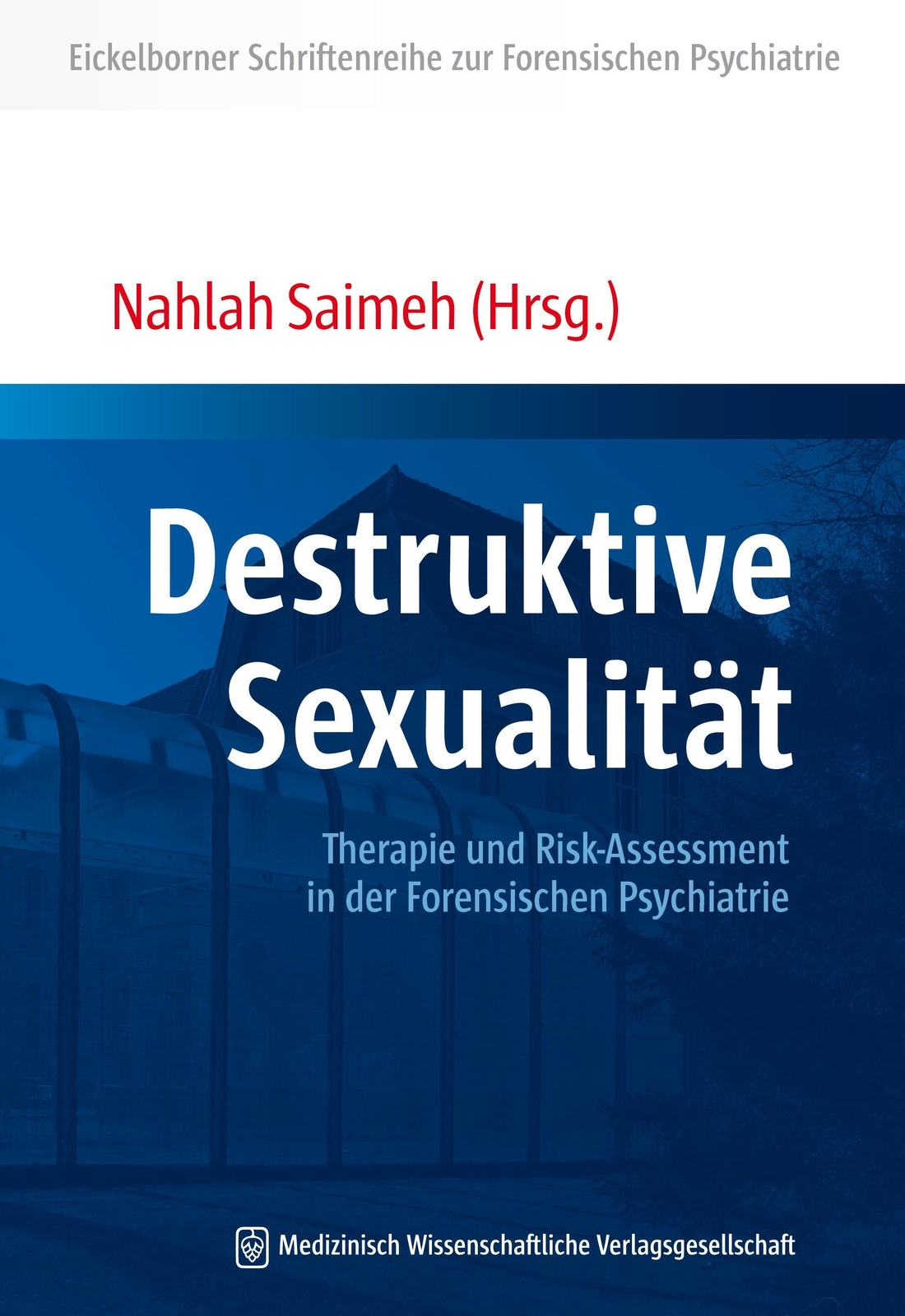 Thumbnail - Destruktive Sexualität | Nahlah Saimeh | Deutsch | Taschenbuch | 243