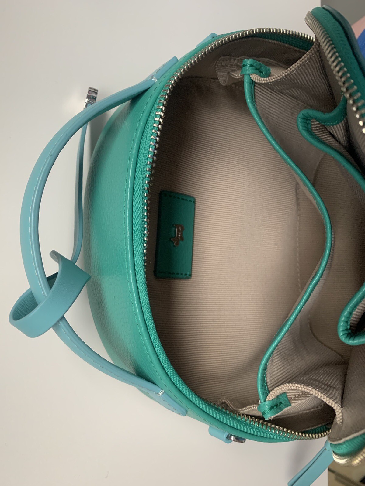 RADLEY Green Tote Or Cross Body Bag Nwot eBay